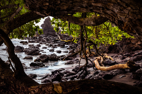 Maui 2022 1548 copy eyi6ld