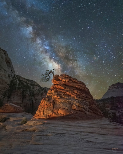 A zion night mtcys5