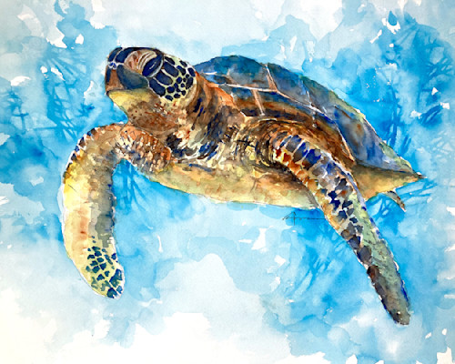 Sea turtle 33 bdpzye