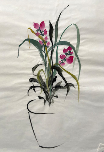 Flowers in vase frd5wu
