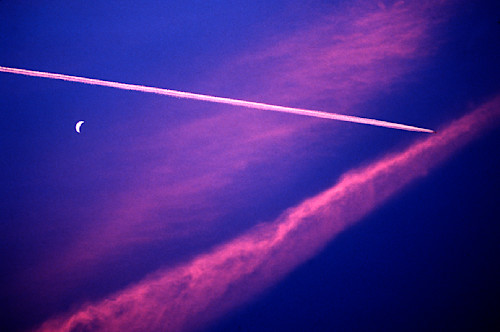 Shooting the moon tbhpxz