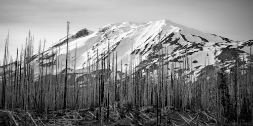 Summer evening light mt adams washington 2022 jpv4wm