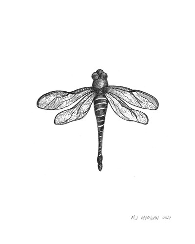 Dragonfly 20x16 signed tcnwvl