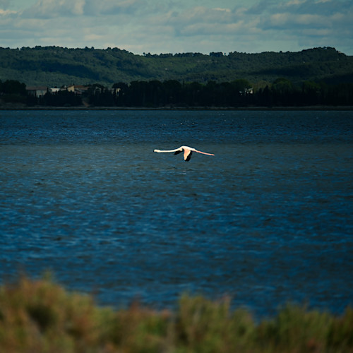 Solo flight dsc 1408 edit 24w copy1080w zoveki