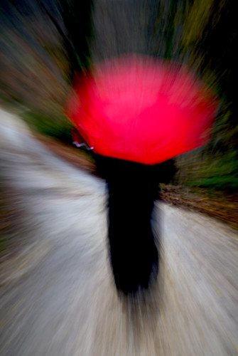 Umbrella in the woods original a dsc4532 copy exouez