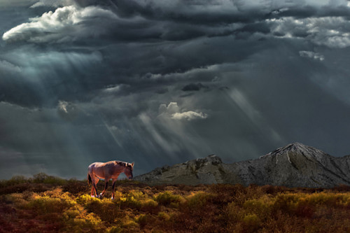 Patricia lam   pl 260 horsin print 8x12 horse levels mtns around in the storm 5300 v5 qxgn7r