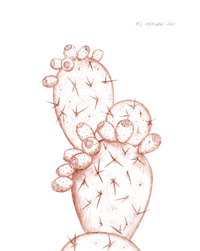Prickly pear 16x20 rust n7tvol