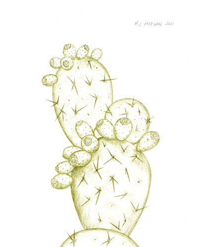 Prickly pear 16x20 yellow opklox