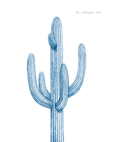 Saguaro 16x20 blue nkndyp