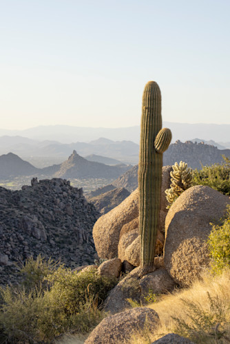 Saguarodd5 6131 tomsthumbhike tkyyup