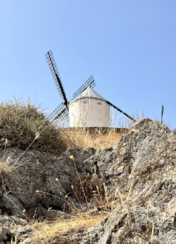 Windmill sage bfrw7m
