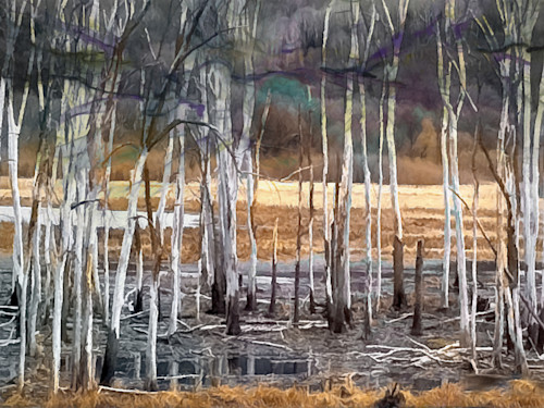 Wafting swamp j1cha5