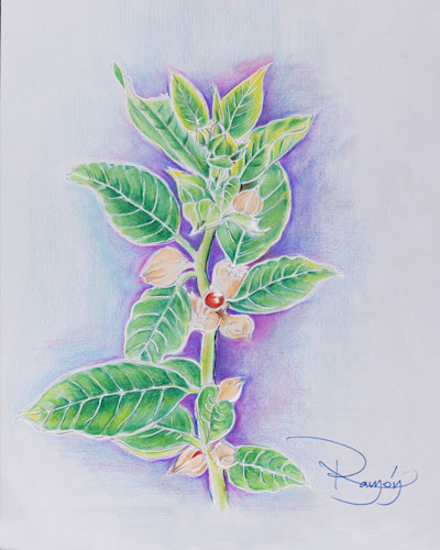 Leaves rasika 8x10 24x30 ai 0026 d5 vjwhwc
