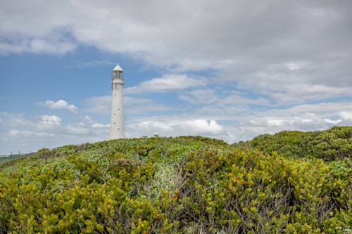 South africa cape of good hope and penguins 8 13 2022 1789 kvfe2l