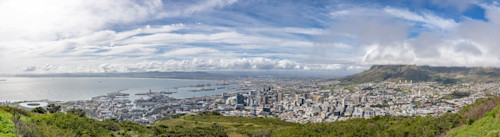 South africa cape town city tour and botanical gardens 8 11 2022  2 2 rrbpqy