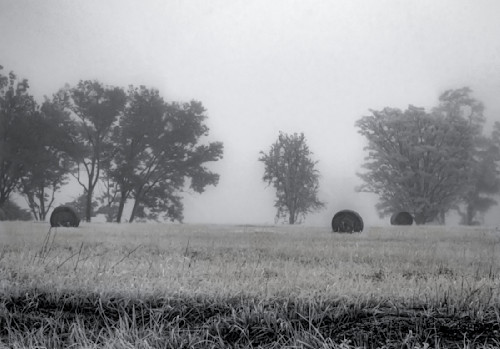 September morning 2 pikjr2