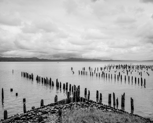 Old pilings on the columbia river astoria oregon 2022 nw2ud9