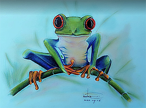 Frog spirit animal totum frog rasika 7771 091622 pfm9dw