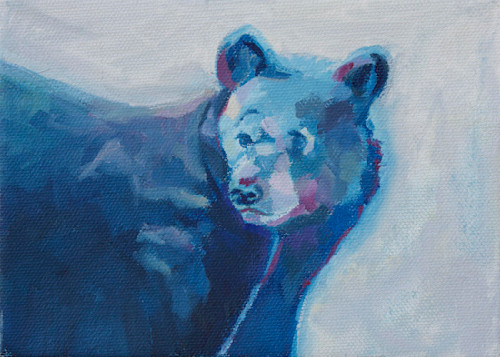 Blue bear ckm89h