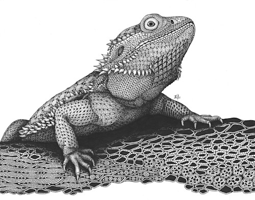 Pencil drawing of a bearded dragon - Garry's Pencil Drawings