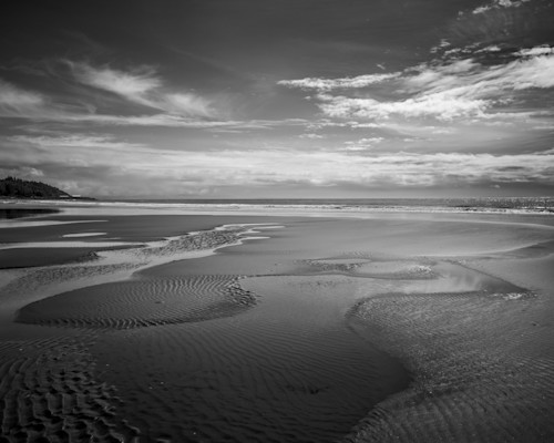 North cove beach study 1 washington 2022 ebz5f1