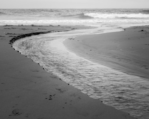 North cove beach study 2 washington 2022 v8oqrt