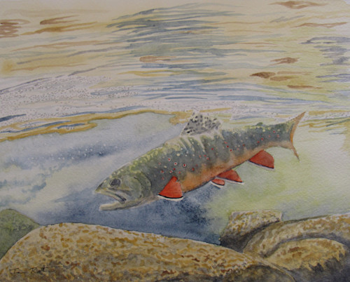 Jumping Trout Good ( Animals > Sea Life > Fish > Trout art) - 24x24x.25