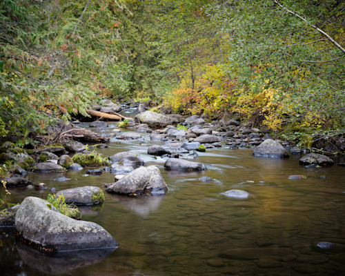 Autumn along badger creek mt hood national forest oregon 2022 xu5kbg
