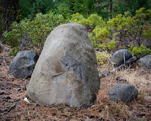 Rocks in the forest mt hood national forest oregon 2022 z0ekm3