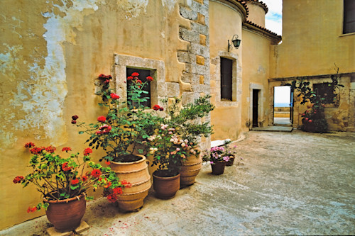 Wallflowers gonia odigitria monastery. crete greece gu7jd2