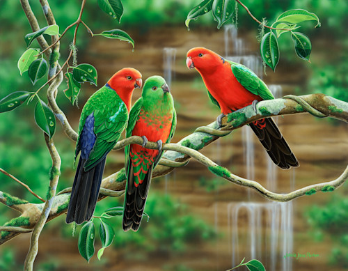 Kings of the forest   king parrots natalie jane parker australian native wildlife vhpxyv