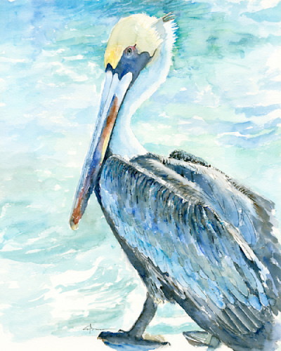 Pelican pose 7 qlbvhs