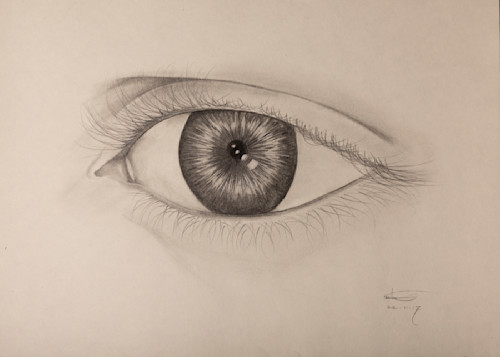 Eye 8375 crop p 30x20 ghnwjp