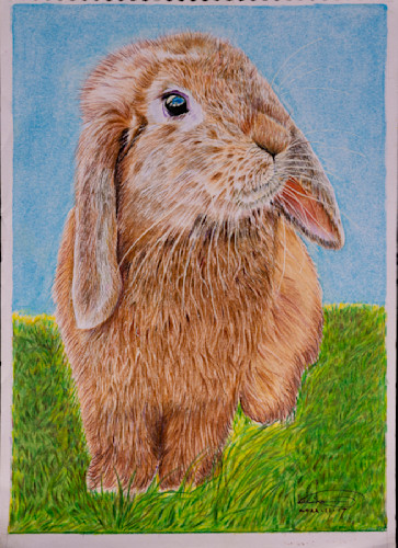 Bunny 8372 crop p 20x30 ceqmcb