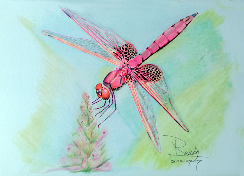 10x8 dragon fly big rr 0254 gold zmhzh7