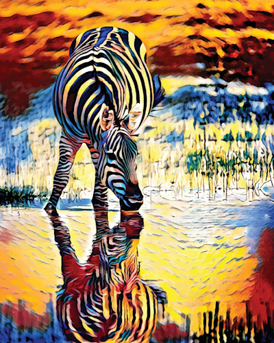 Zebra reflections eisuaa