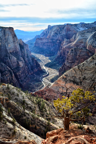 Utah  zion  observation point  december 2018 295dfinevivpcdlc eyy7pb