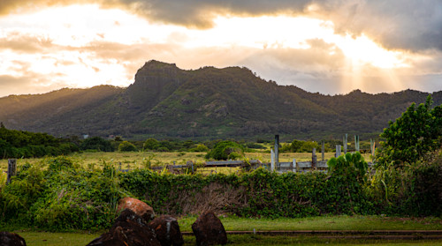Kauai 9898 vttx4z