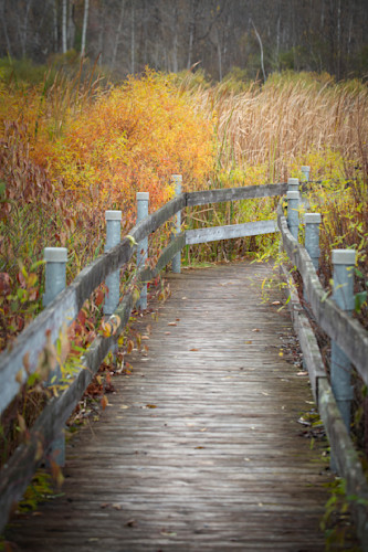 Marshland stroll m3nbah