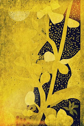 Golden ochre wwoeft
