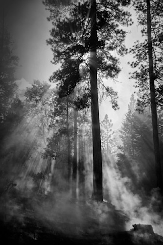 Streaming adobergb 6000x9000 flat sharpened czcefp