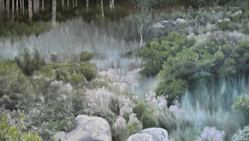 Mountain tapestry ifpx1u