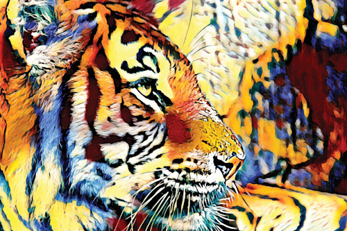 Tiger profile cual9w