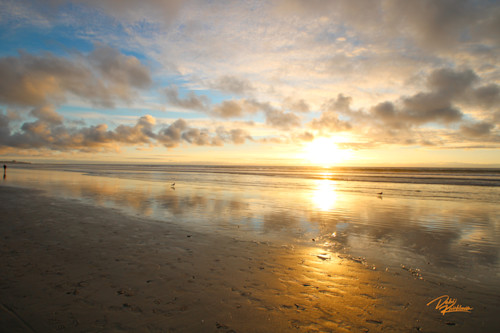 Del mar series sunset ebdg3t