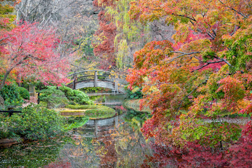 Fall foliage in the japanese garden. fort worth texas. 32x48 srjbop
