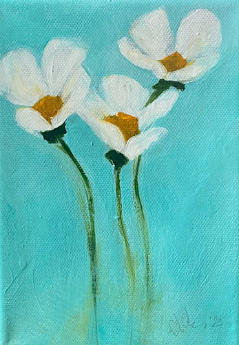 White marigold ynp pw6o5m