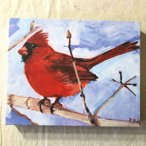 The cardinal red bird of pennsylvania mohmkz