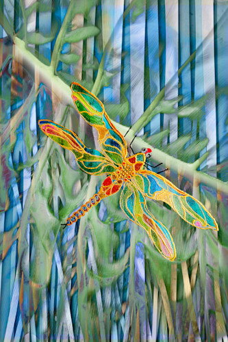 Dragonfly final saturated ww8tyw