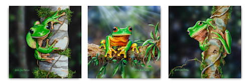 Frog collection y8yhjf