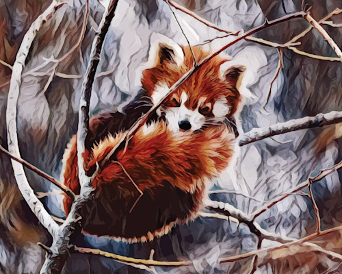 Red panda fkypg3